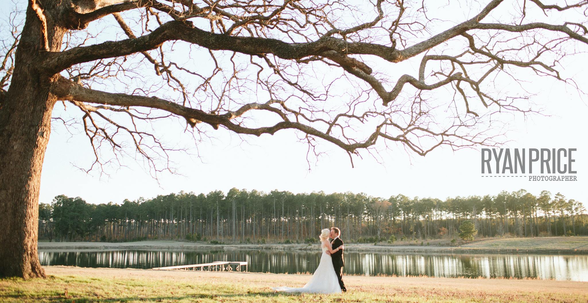 Bride and groom kissing under a tree